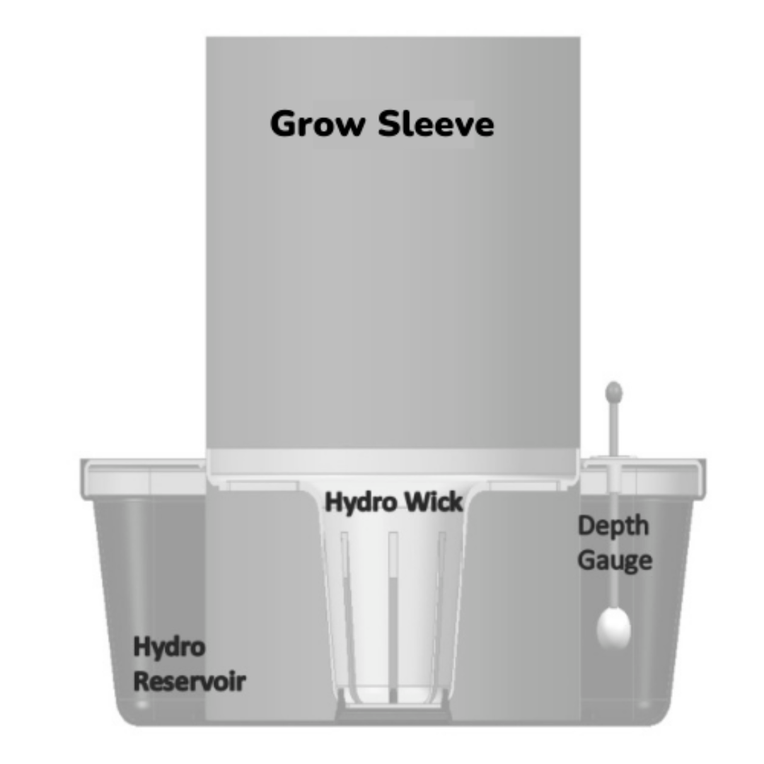 3 Gallon AutoFill System - 6 Site