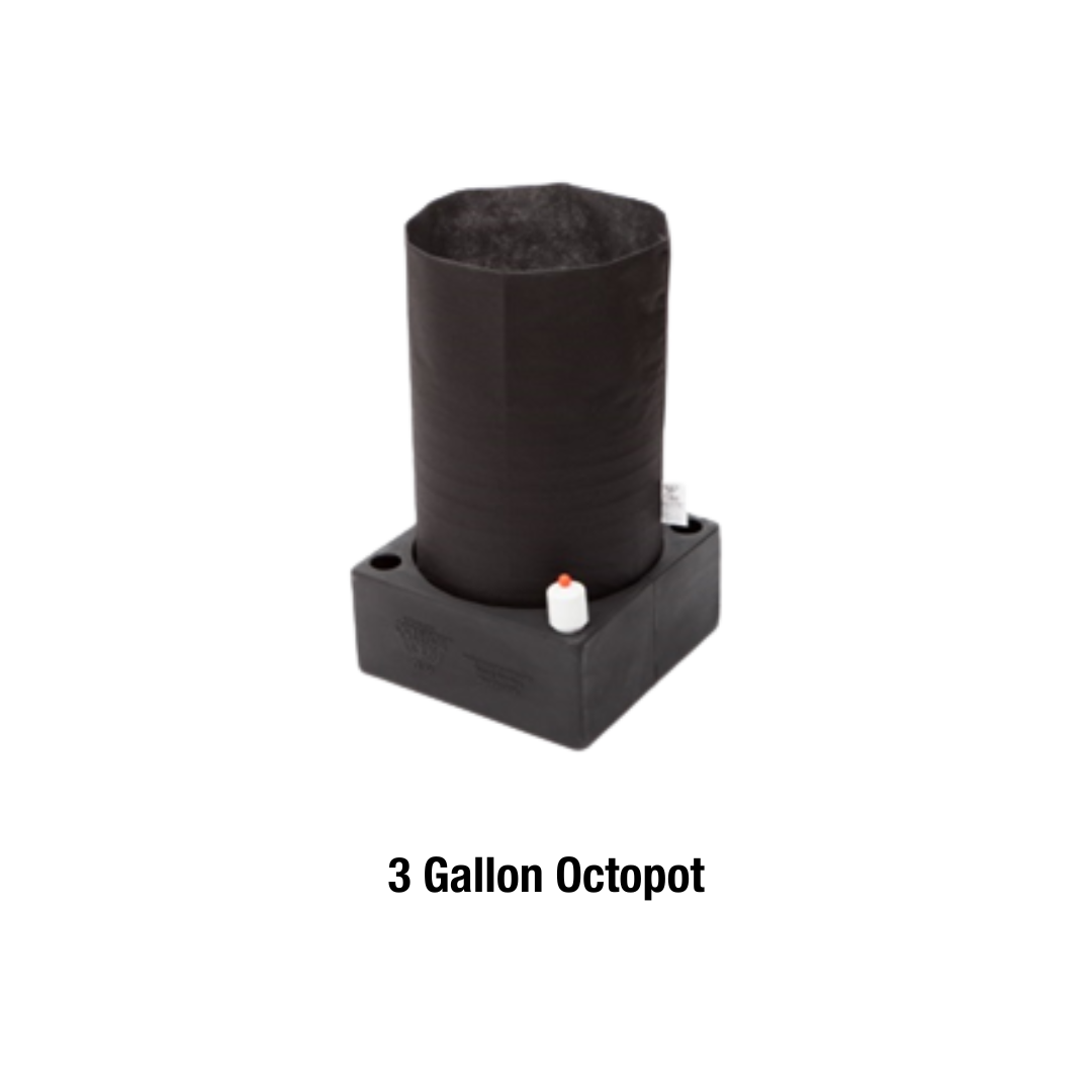 3 Gallon Octopot - 6 Pack