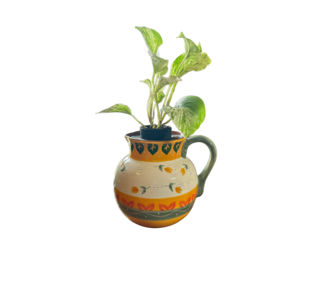 Folk Art Pottery Wide Tulip Pitcher Planter with Marble Queen Pothos Plant