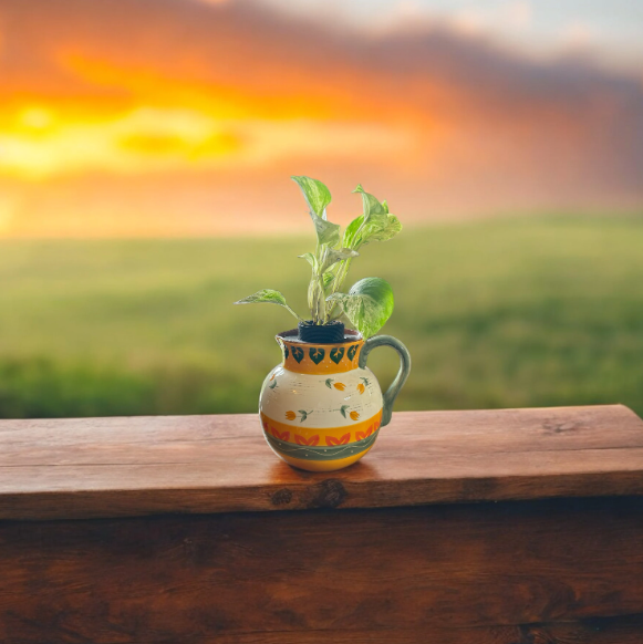 Folk Art Pottery Wide Tulip Pitcher Planter with Marble Queen Pothos Plant