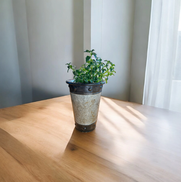 Tall Silver-Toned Vase with Bronzy Accents Planted with Goldfish Plant