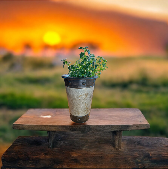 Tall Silver-Toned Vase with Bronzy Accents Planted with Goldfish Plant