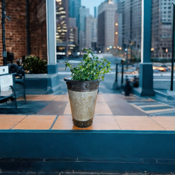 Tall Silver-Toned Vase with Bronzy Accents Planted with Goldfish Plant