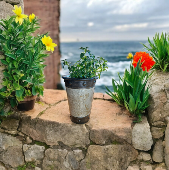 Tall Silver-Toned Vase with Bronzy Accents Planted with Goldfish Plant