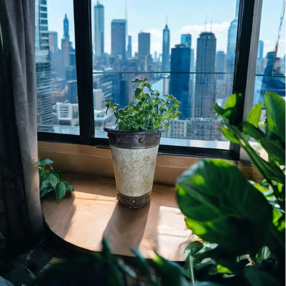 Tall Silver-Toned Vase with Bronzy Accents Planted with Goldfish Plant