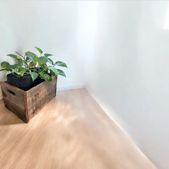 Vintage Renner Brewery Beer Crate Planter with Golden Pothos and Jelly Peperomia Plants