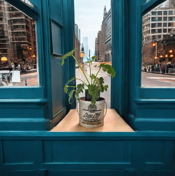 Vintage Frabill's Long Life Galvanized Minnow Bucket Planter with Philodendron Xanadu