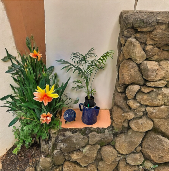 Self-Watering Blue Enamelware Kettle Planter with Parlor Palm