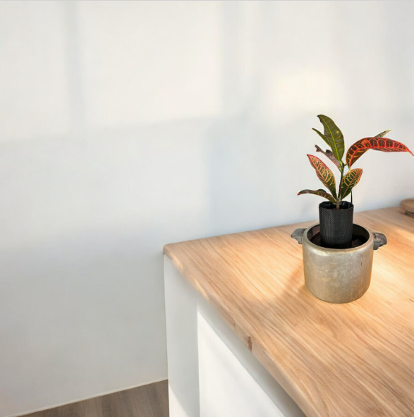 Unique Self-Watering Vintage Canning Pot Planter with Croton Plant