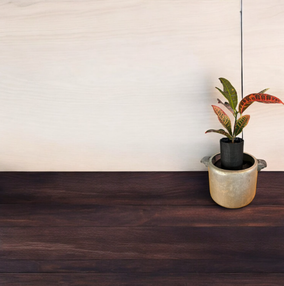 Unique Self-Watering Vintage Canning Pot Planter with Croton Plant