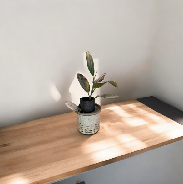 Charming Self-Watering Vintage Minnow Bucket Planter with Rubber Tree