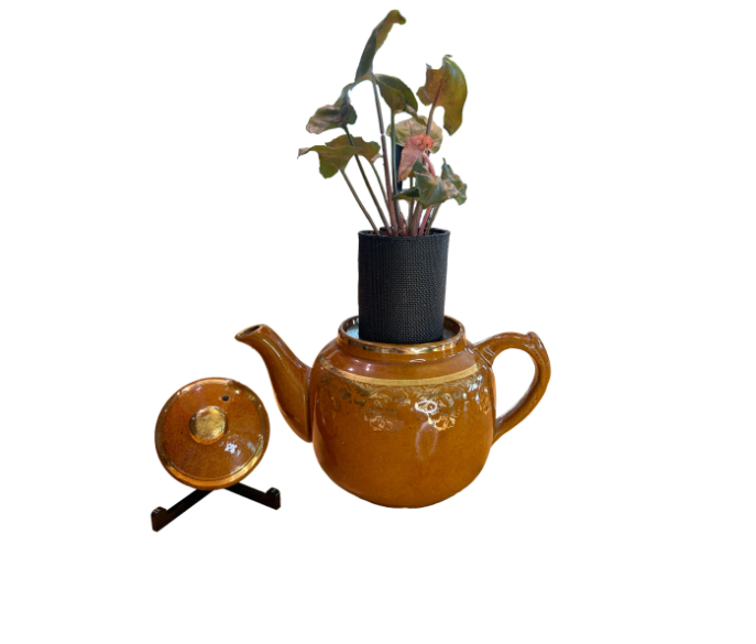 Vintage Burnt Orange Teapot Planter with Arrowhead Plant