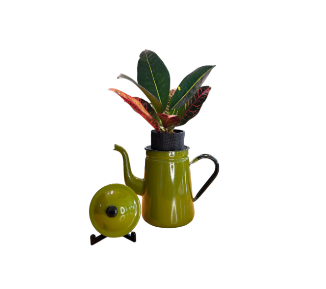 Vintage Olive Green Enamelware Coffee/Tea Kettle Planter with Croton Plant