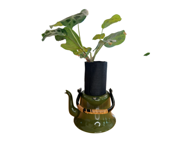 Vintage Olive Green Enamelware Teapot Planter with Prayer Plant