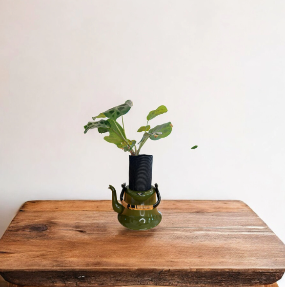 Vintage Olive Green Enamelware Teapot Planter with Prayer Plant