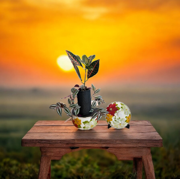 Pioneer Woman Christmas Holiday Poinsettia 4Q Dutch Oven Planter with