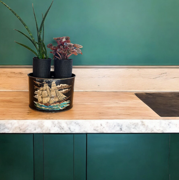 Vintage Mail Tin Planter with Snake Plant & Peperomia