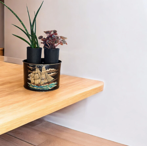 Vintage Mail Tin Planter with Snake Plant & Peperomia