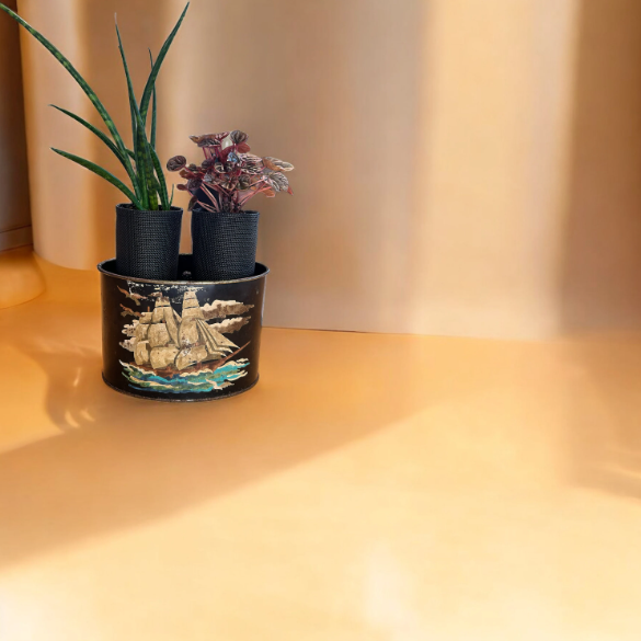 Vintage Mail Tin Planter with Snake Plant & Peperomia