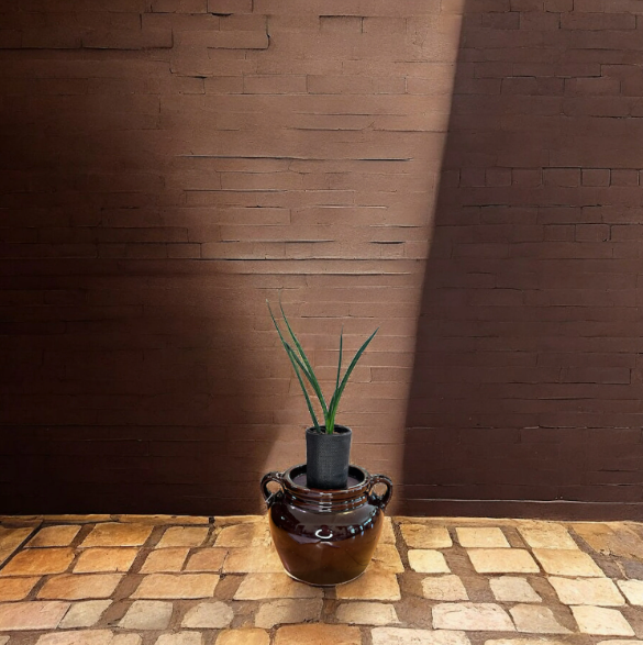 Vintage Stoneware Bean Crock Planter with Snake Plant