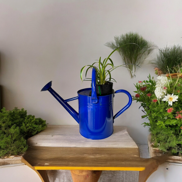 Cobalt Blue Self-Watering Indoor Planter with Vibrant Spider Plant