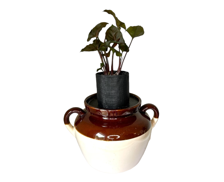 Vintage Stoneware Bean Crock Planter with Syngonium ‘Arrowhead’ Plant