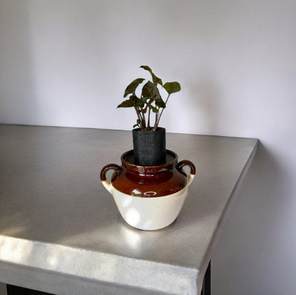 Vintage Stoneware Bean Crock Planter with Syngonium ‘Arrowhead’ Plant