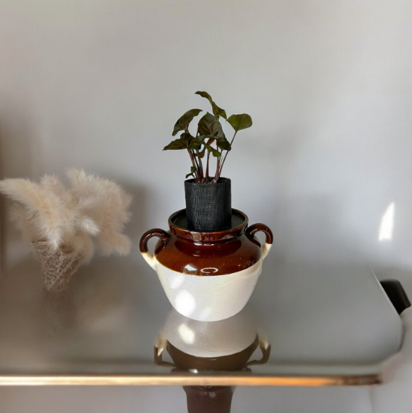 Vintage Stoneware Bean Crock Planter with Syngonium ‘Arrowhead’ Plant