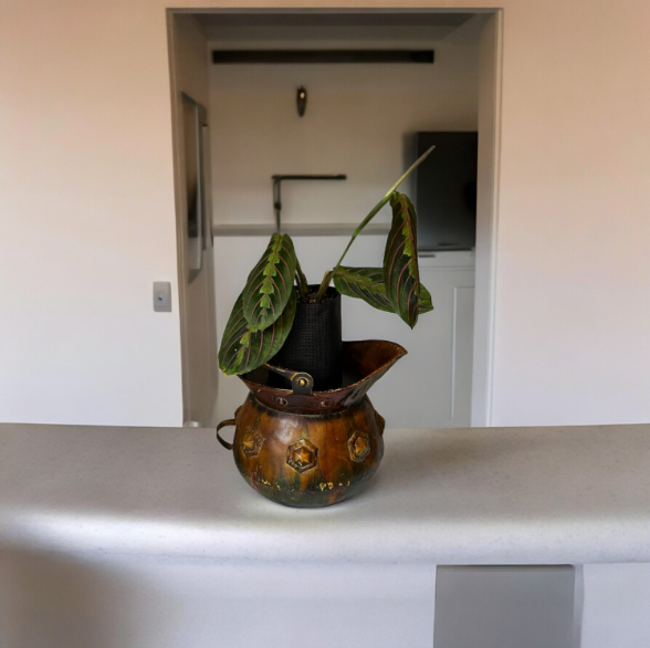 Vintage Copper Pitcher Planter with Lush Prayer Plant