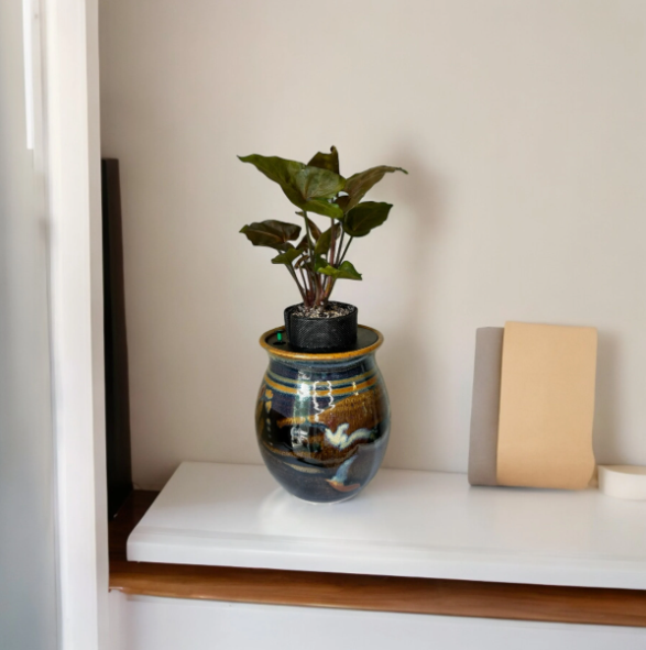 Ron Lieberman Glazed Pottery Planter with Syngonium ‘Arrowhead’ Plant