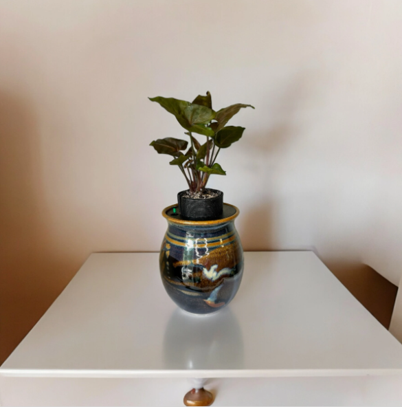 Ron Lieberman Glazed Pottery Planter with Syngonium ‘Arrowhead’ Plant