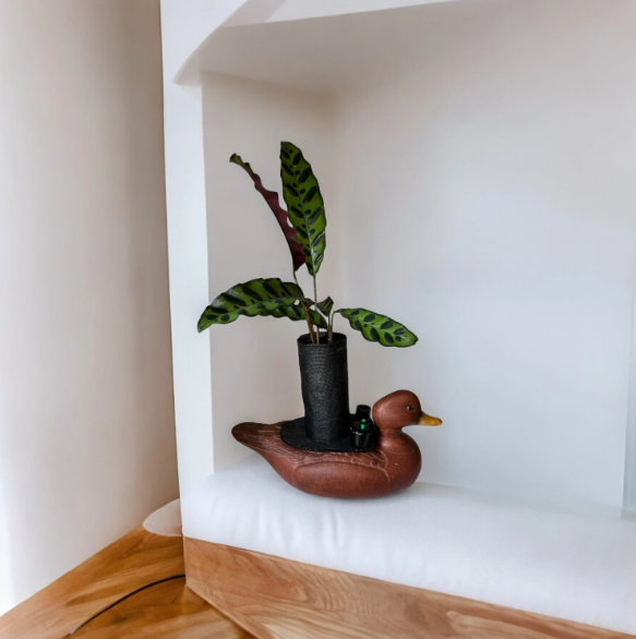 Ceramic Duck Decoy Planter with Calathea ‘Rattlesnake’ Plant