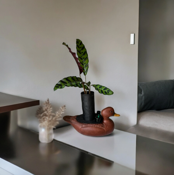 Ceramic Duck Decoy Planter with Calathea ‘Rattlesnake’ Plant