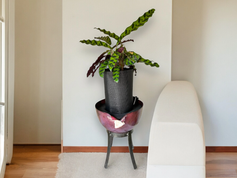 Elegant Metal Planter with Stand Adorned with Sparkling Crystal Detail and Rattlesnake Calathea