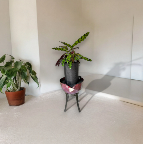 Elegant Metal Planter with Stand Adorned with Sparkling Crystal Detail and Rattlesnake Calathea