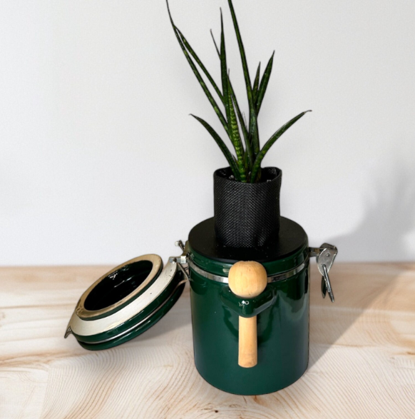 Green "The Market Place" Baking Canister Self Watering Planter with Snake Plant