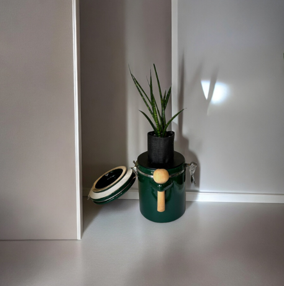 Green "The Market Place" Baking Canister Self Watering Planter with Snake Plant
