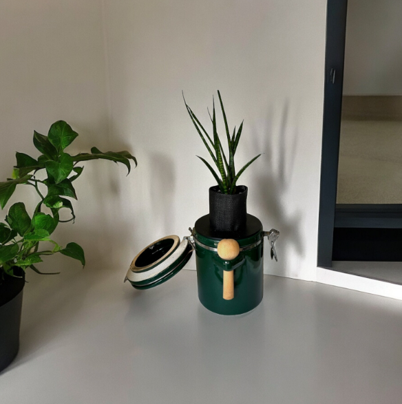 Green "The Market Place" Baking Canister Self Watering Planter with Snake Plant