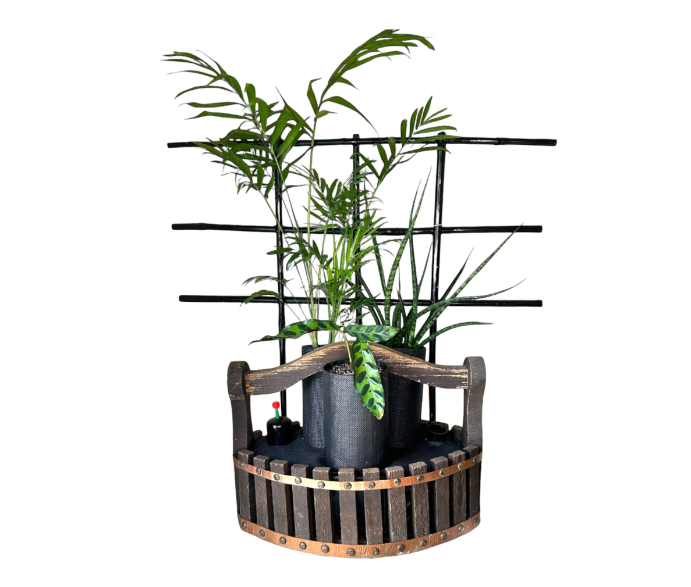 Wood Basket Trellis Planter with Trio of Lush Plants