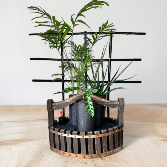 Wood Basket Trellis Planter with Trio of Lush Plants