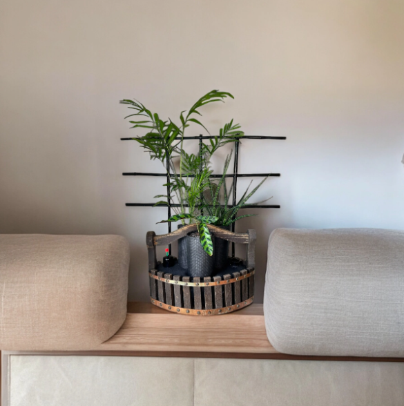 Wood Basket Trellis Planter with Trio of Lush Plants