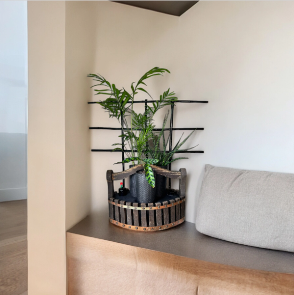 Wood Basket Trellis Planter with Trio of Lush Plants