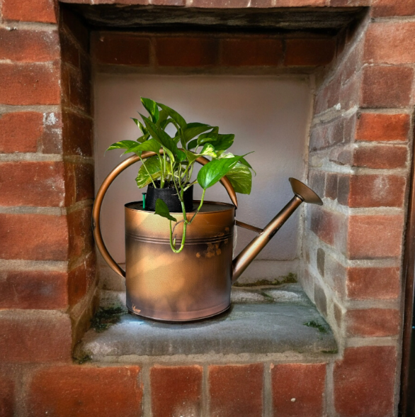 Copper Watering Can Planter with Lush Golden Pothos
