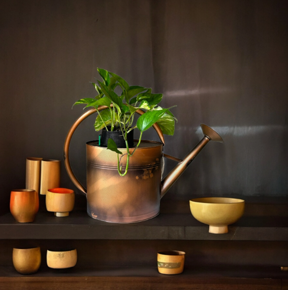 Copper Watering Can Planter with Lush Golden Pothos