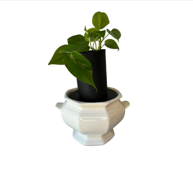 Vintage California Pottery Ironestone Soup Tureen Planter with Heart Leaf Philodendron Plant