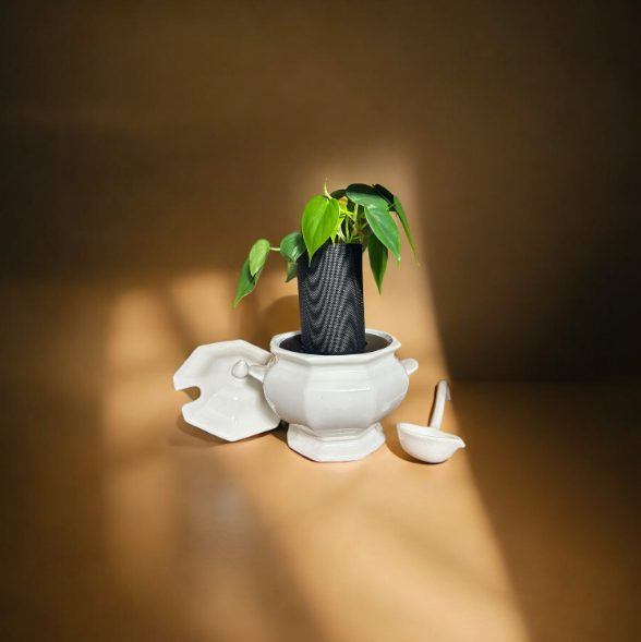 Vintage California Pottery Ironestone Soup Tureen Planter with Heart Leaf Philodendron Plant