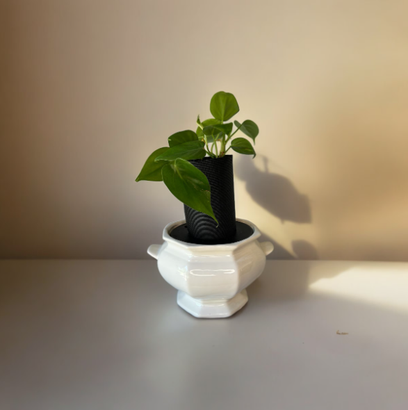 Vintage California Pottery Ironestone Soup Tureen Planter with Heart Leaf Philodendron Plant