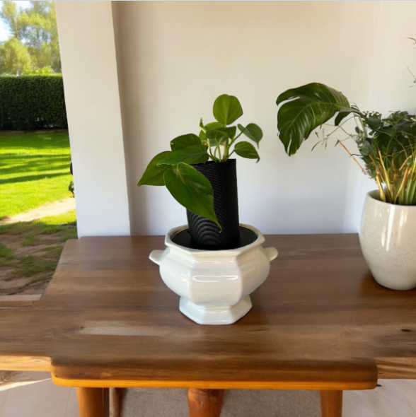 Vintage California Pottery Ironestone Soup Tureen Planter with Heart Leaf Philodendron Plant