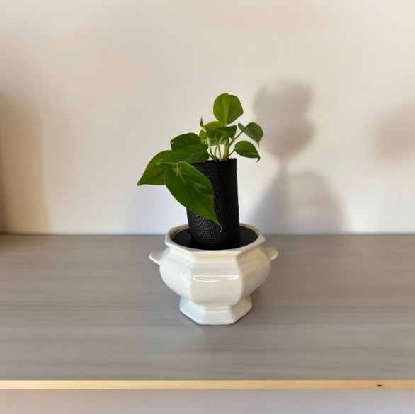 Vintage California Pottery Ironestone Soup Tureen Planter with Heart Leaf Philodendron Plant