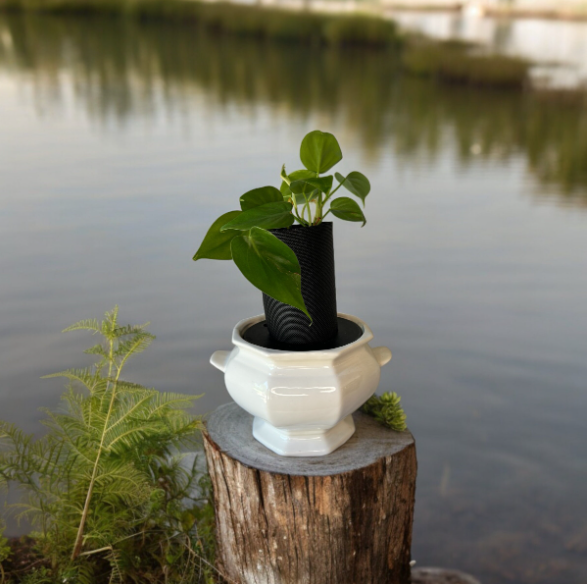 Vintage California Pottery Ironestone Soup Tureen Planter with Heart Leaf Philodendron Plant